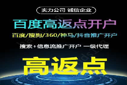 关键词竞价排名策略案例分析